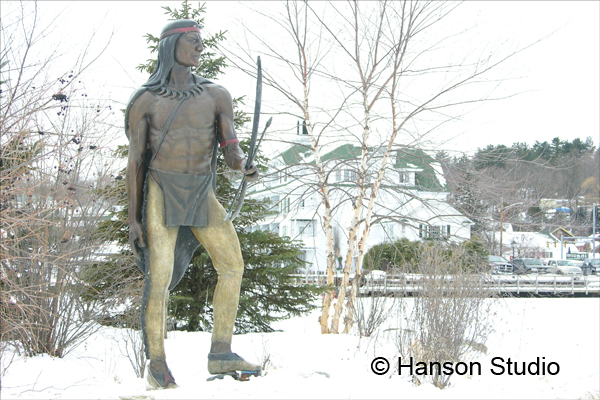 Meredith, NH - Indian Island - Winter - Close-up
